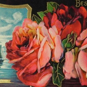 画像1: アンティークカード、薔薇
