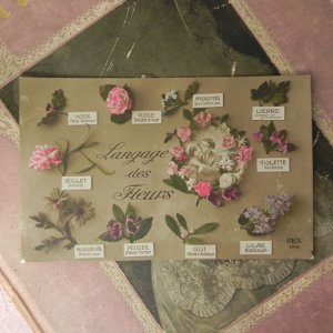 画像2: アンティークカード、花言葉