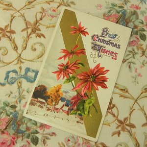 画像2: クリスマスカード、ポインセチア