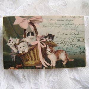 画像1: ポストカード、バスケットにいっぱいの子猫
