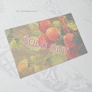 画像3: C.Klein・アンティークポストカード berries