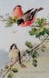 画像2: C.Klein・アンティークポストカード　3羽の小鳥たち (2)