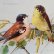 画像1: C.Klein・アンティークポストカード 2羽の鳥 (1)
