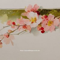 C.Klein・アンティーク・ポストカード、アプリコット