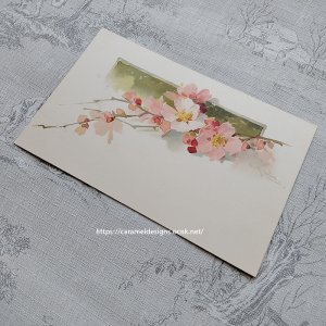 画像4: C.Klein・アンティーク・ポストカード、アプリコット