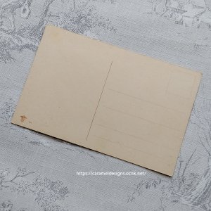 画像5: C.Klein・アンティーク・ポストカード、レッドローズ