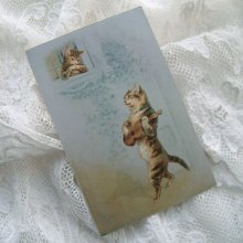 他の写真2: ポストカード、恋を語る猫