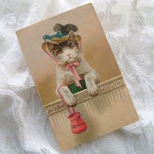 他の写真2: ポストカード、オペラ座の貴婦人猫