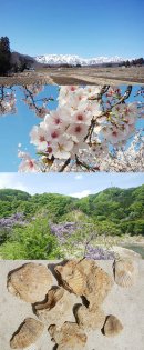 画像: Spring in Shinshu