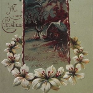 画像: クリスマスカード