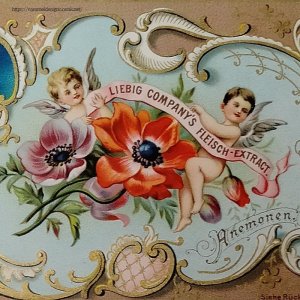 画像: ドイツ製トレードカード、天使&アネモネ