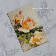 画像4: C.Klein・アンティークポストカード 薔薇