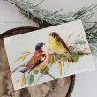 画像2: C.Klein・アンティークポストカード 2羽の鳥