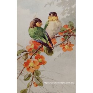 画像: C.Klein・アンティーク・ポストカード、インコ