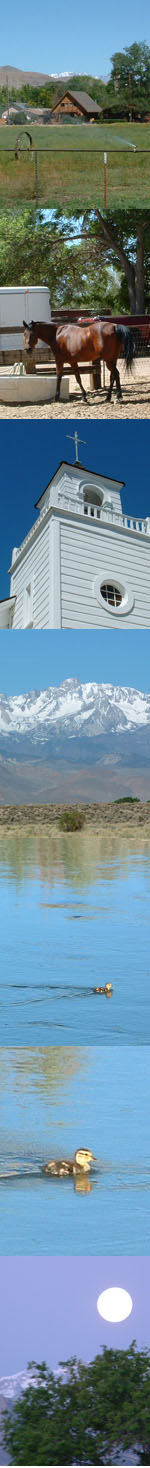 画像: ビショップ　～シェラ・ネバダ山脈ふもとの町～