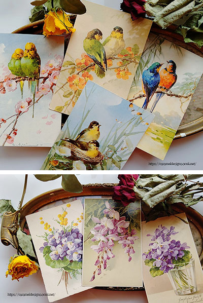 画像: ★更新しました★C.Kleinの美しい鳥や花のカード