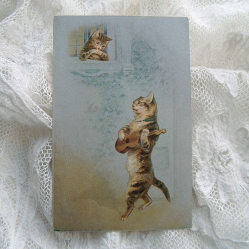 画像: ポストカード、恋を語る猫