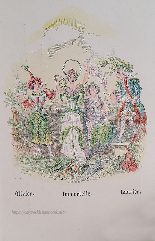 画像1: フランス、フラワーフェアリーたち・オリーヴ、月桂樹、イモーテル