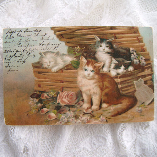 画像: ポストカード、バスケットの猫ちゃん達